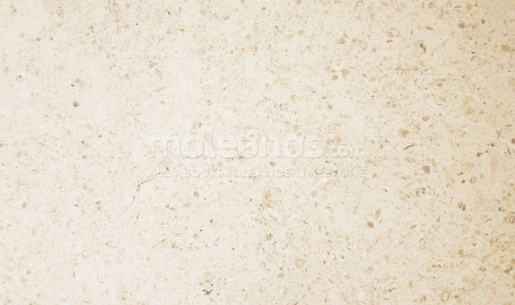 Moleanos Classic Polished