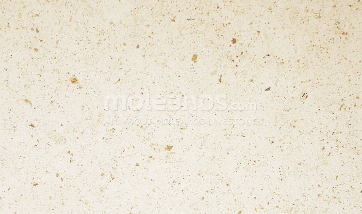 Cabeca Veada Limestone