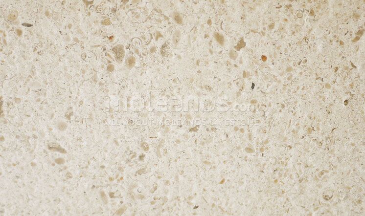 Moleanos Classic Brushed