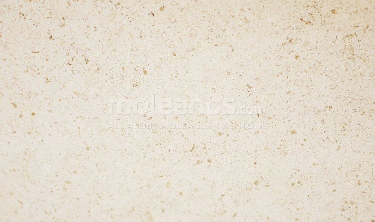 Moleanos Fine Limestone