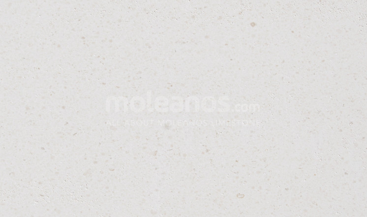 Blanco Paloma limestone